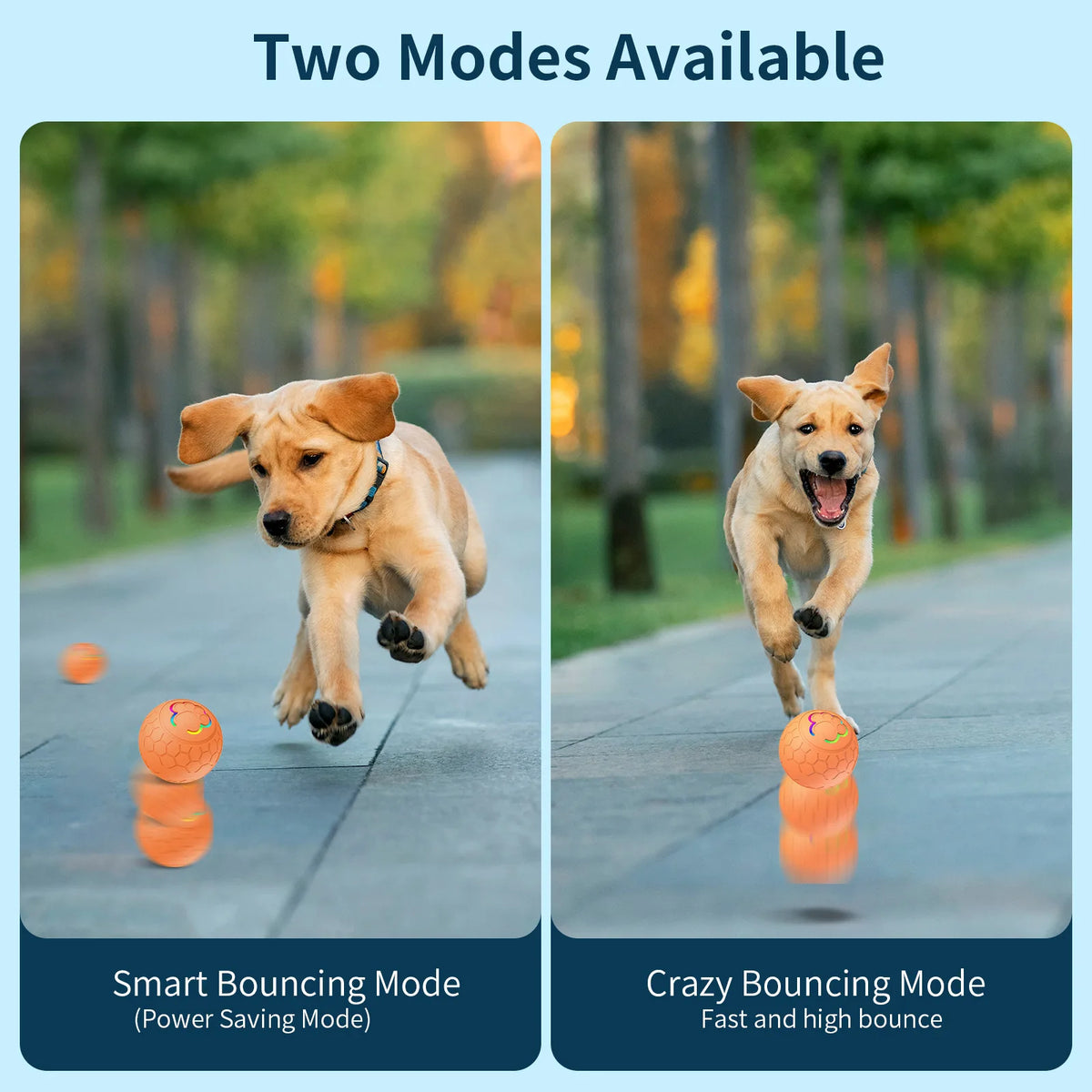 Zwei Modi eines interaktiven elektronischen Spielballs für Hunde und Katzen, die smarte und verrückte Sprungmodi zeigen