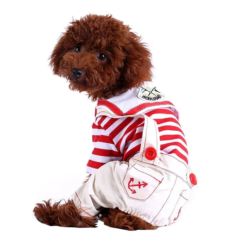 A brown poodle wearing a red and white striped jumpsuit with nautical details.