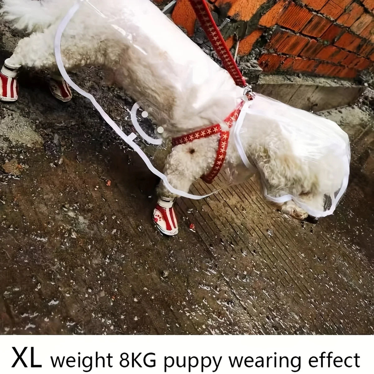 Clear Dog Raincoat with Button-Up Front