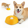 Anti-Gulping Slow Feeder Dog Bowl