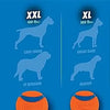 A graphic showing various sizes of an orange dog ball categorized by dog breed size, emphasizing the correct ball size for a 