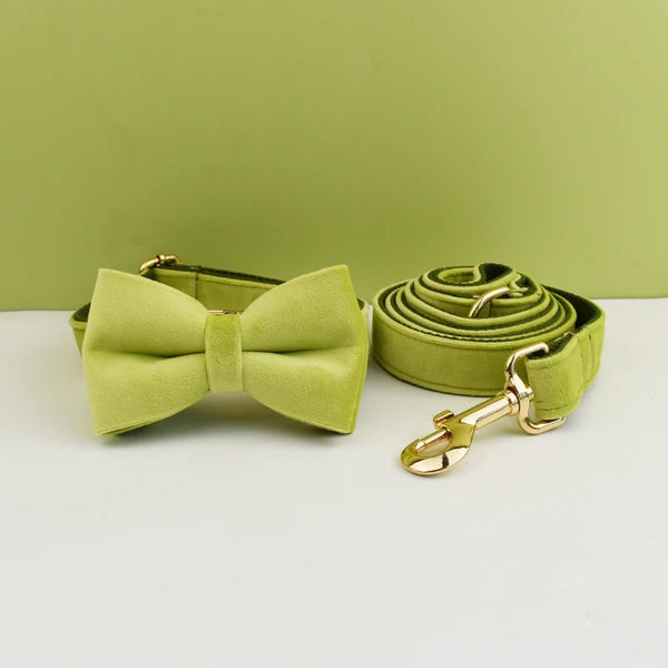 A set of olive green velvet dog collar, leash, and harness lying on a white surface.
