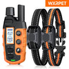 Collar de entrenamiento eléctrico naranja para perro con transmisor negro y correa ajustable negra.