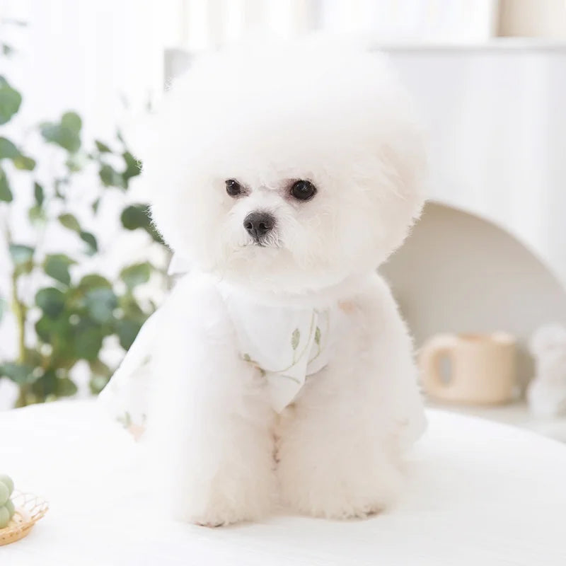 Princess-Style Dog Dress with Bow and Butterfly Skirt