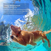 A golden retriever swims underwater in clear blue water, demonstrating the deep waterproof capability of a remote training co