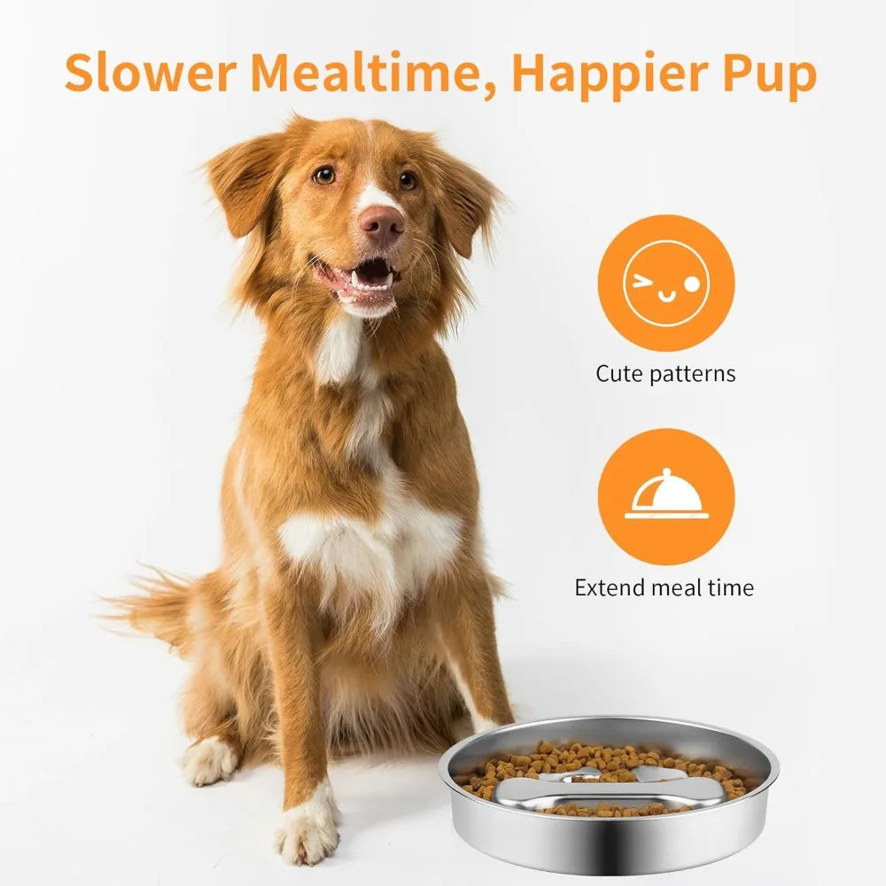 A golden retriever dog is looking at a stainless steel slow feeder bowl with a non-slip base.