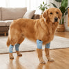 Dog Knee Pads with Elastic Leg Covers for Joint Protection