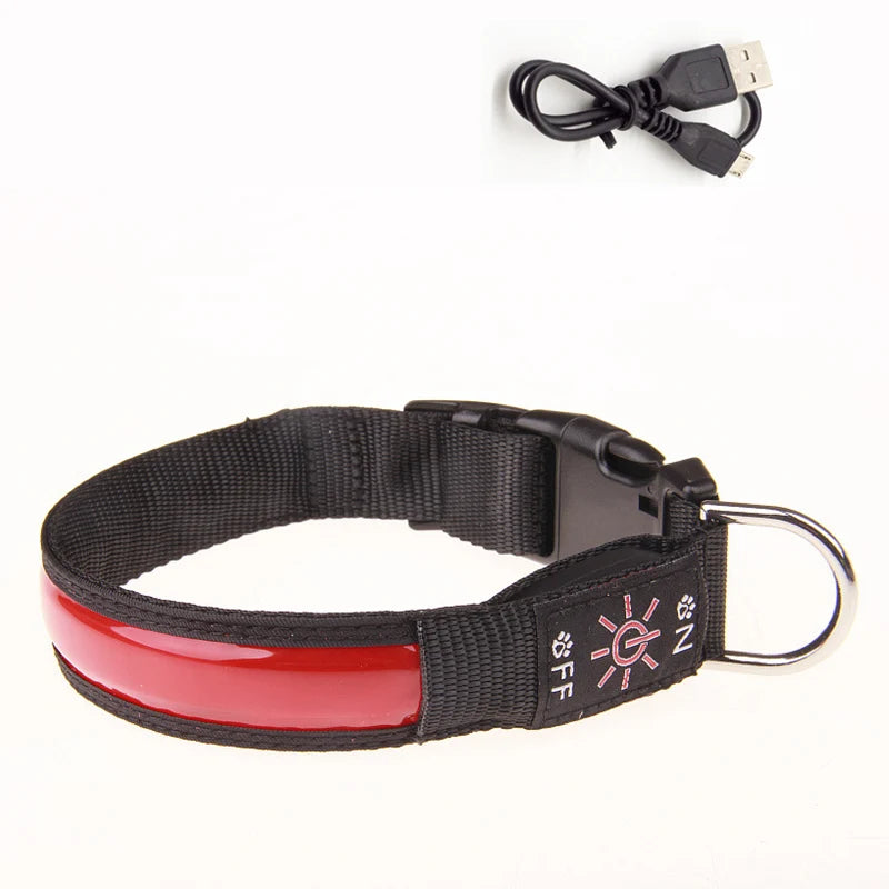 Black and red dog collar with a USB charging cable attached
