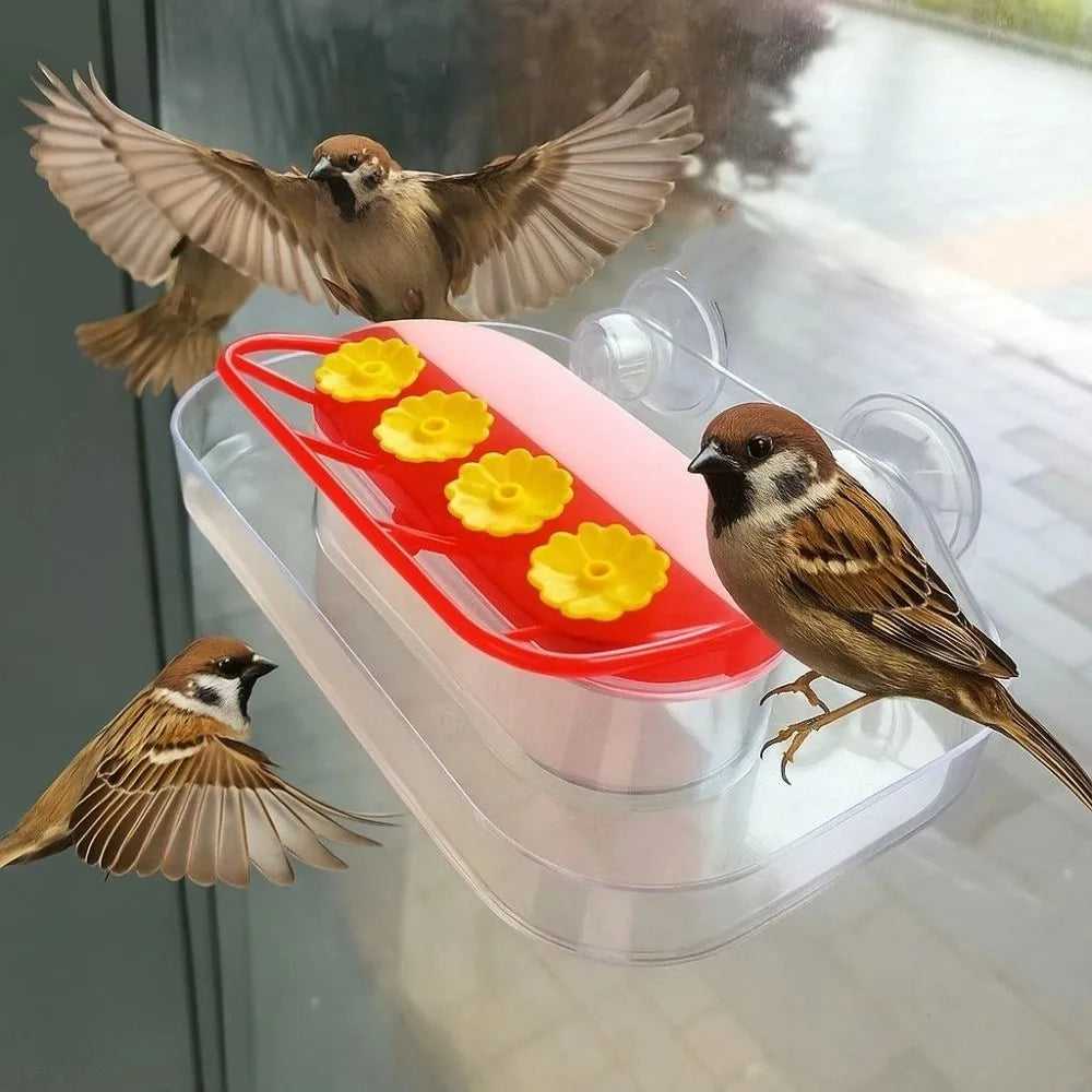 Refillable Hummingbird Feeder with Window Suction Cups