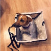 Hamac de voiture pour animaux de compagnie, étanche et transportable