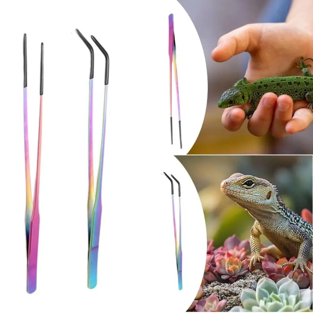 A pair of stainless steel aquarium feeding tweezers in pink and green colors are shown next to a green lizard.