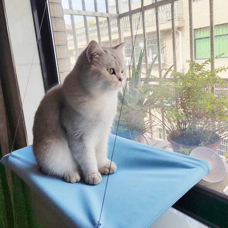 Hamac pour chat à monter sur fenêtre avec structure d'escalade