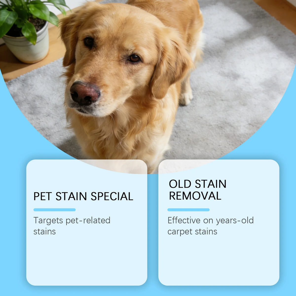 Pet Stain & Odor Remover Spray – Multi-Surface Cleaner for Carpets, Fabric & Furniture