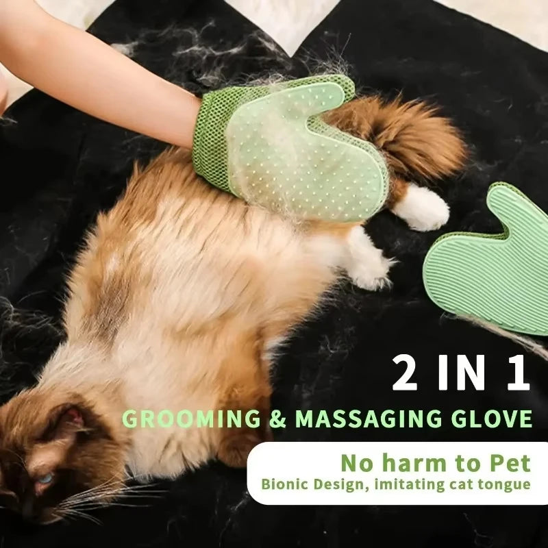 A cat is wearing a green grooming glove designed to mimic a cat's tongue for petting and massage.