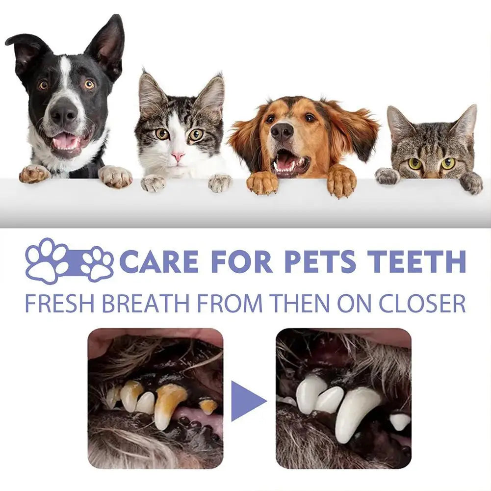 Eine Collage von Hunden und Katzen, die in die Kamera schauen, mit Text zur Pflege der Tierzähne und frischem Atem.