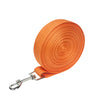 Orange nylon dog leash rolled up and attached to a metal clip
