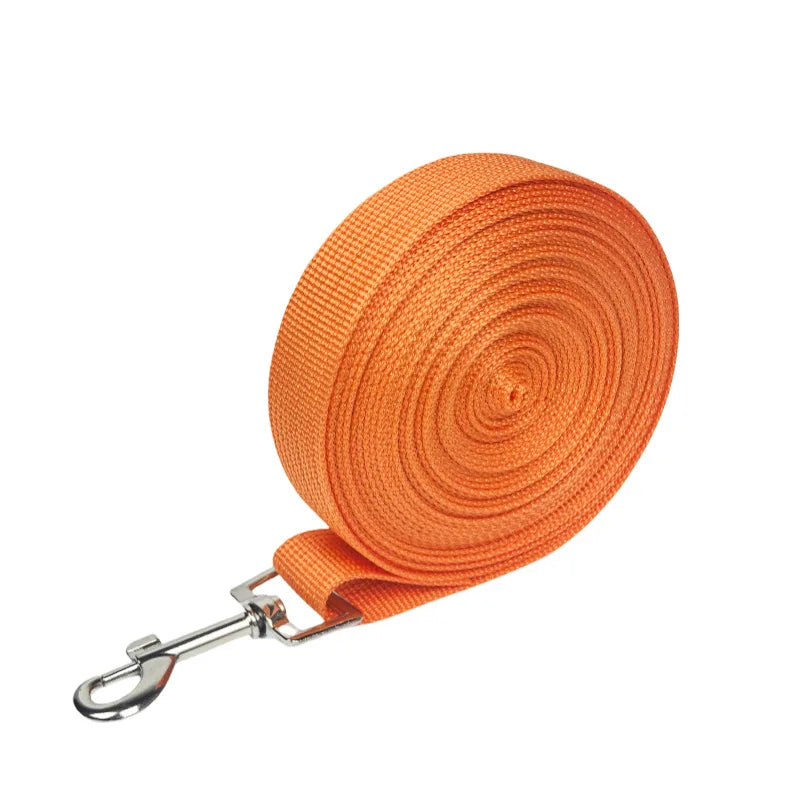 Orange nylon dog leash rolled up and attached to a metal clip