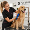 A woman is using a blue pet hair clipper grooming kit on a golden-colored dog.