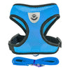 A bright blue pet harness and matching leash set with a paw print emblem.