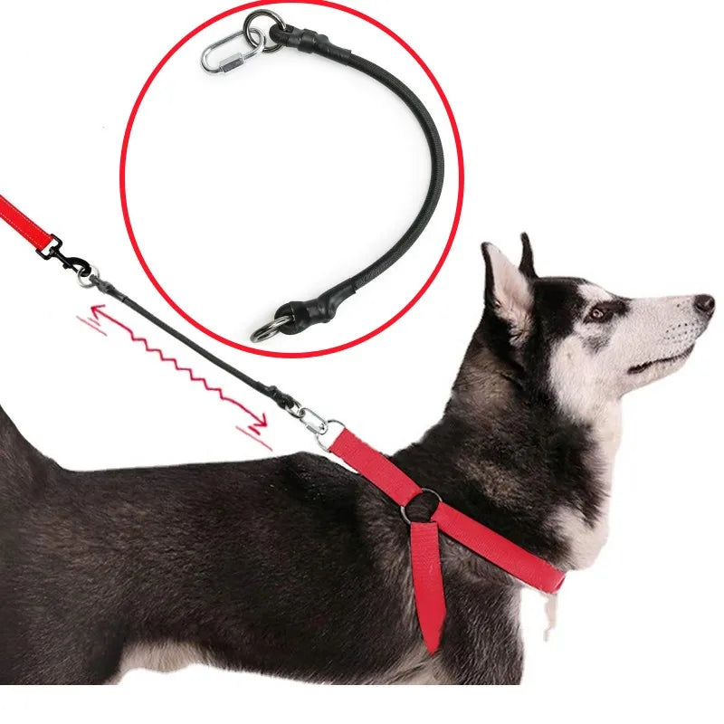 45cm Nylon Dog Leash Extender with Quick-Release Buckle