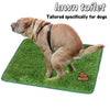 A light brown dog is standing on a green artificial turf mat designed as a lawn toilet for dogs.