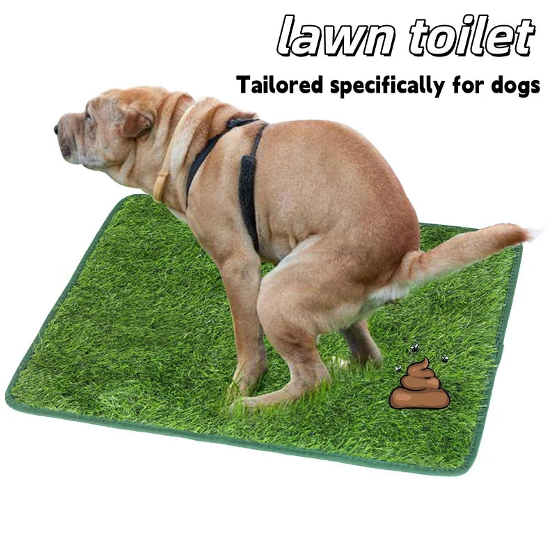 A light brown dog is standing on a green artificial turf mat designed as a lawn toilet for dogs.