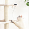 Lifting Ball Electric Cat Toy with Rotating Ball