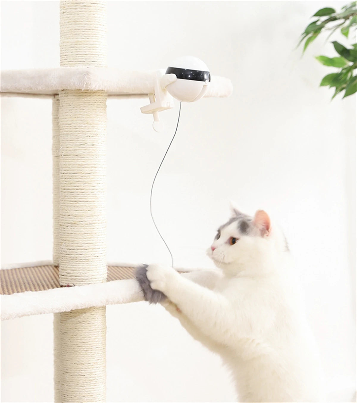 Un chat blanc interagit avec un jouet interactif comportant une balle tournante et un mécanisme blanc.
