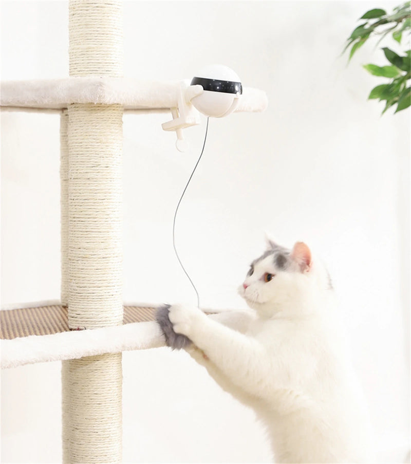 Lifting Ball Electric Cat Toy with Rotating Ball