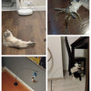Jouet Interactif pour Chat avec Plumes et Baguette