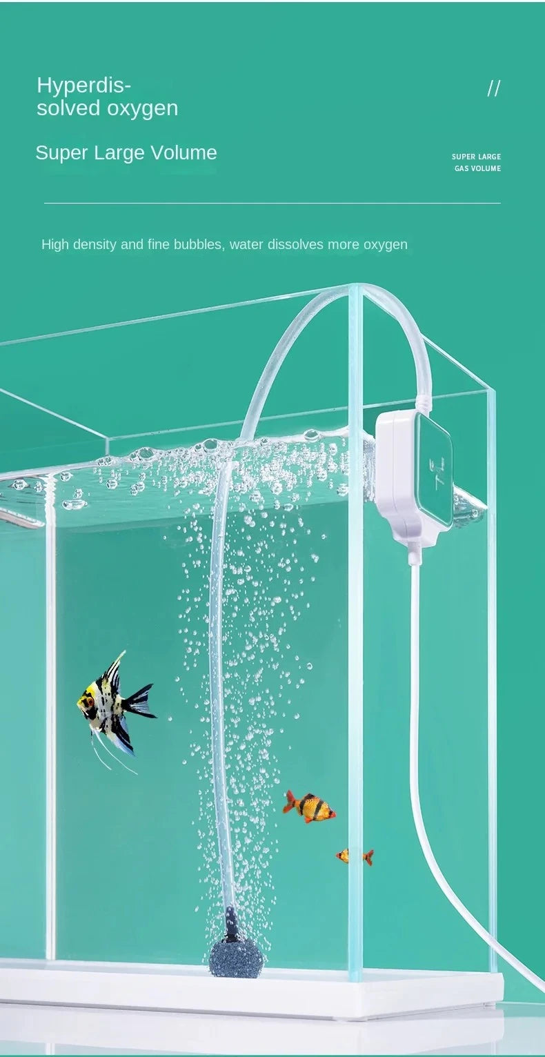 Klares Aquarium mit Wasser und Sauerstoffbläschen, ausgestattet mit einer weißen Luftpumpe.