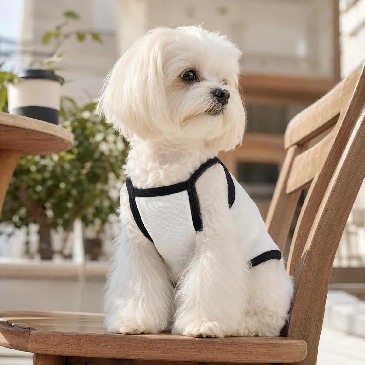 Ribbed Sleeveless Pet Vest with Bow Knot for Small Dogs and Cats