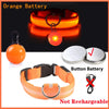 USB Charging Glowing Dog Collar with Pendant - Night Safety