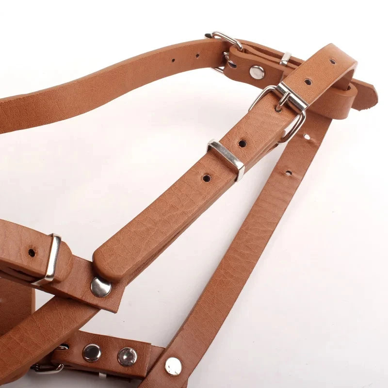 A brown leather dog muzzle with a breathable metal frame and adjustable straps.