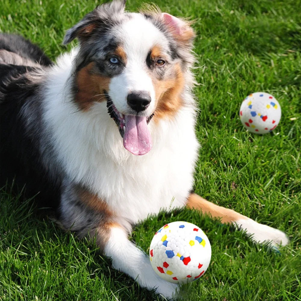A fluffy dog with black, white, and brown fur is lying on green grass next to several colorful dog balls.