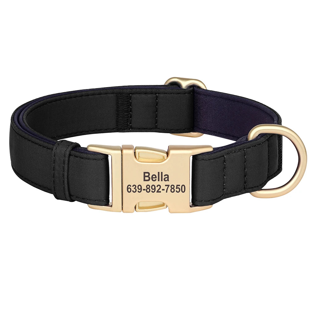 Black padded dog collar with a gold buckle and custom ID engraving Bella 639-892-7850
