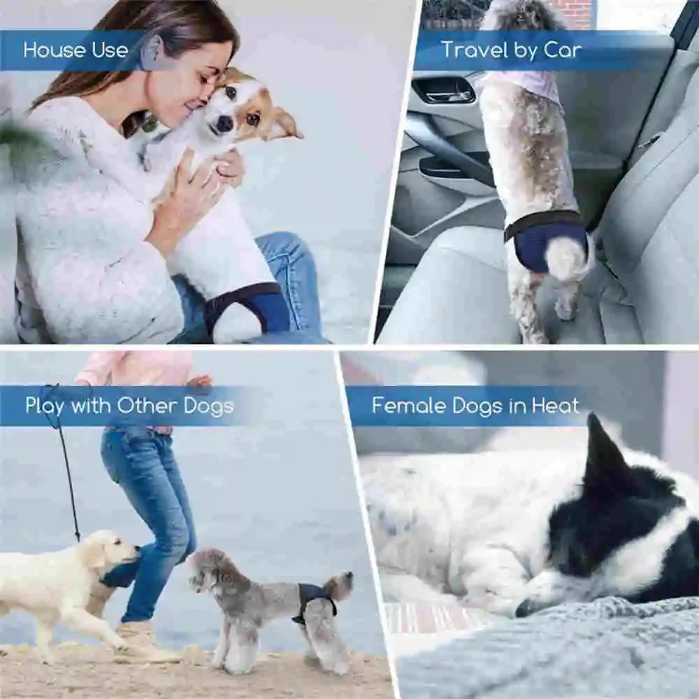 Reusable Washable Dog Diapers with Absorbent Pads for Female Dogs in Heat