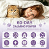 Cat Calming Pheromone Diffuser Kit with 2 Refills