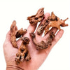 Micro Landscape Aquarium Decor Wood Branches 5-10cm - 3/6/9pcs