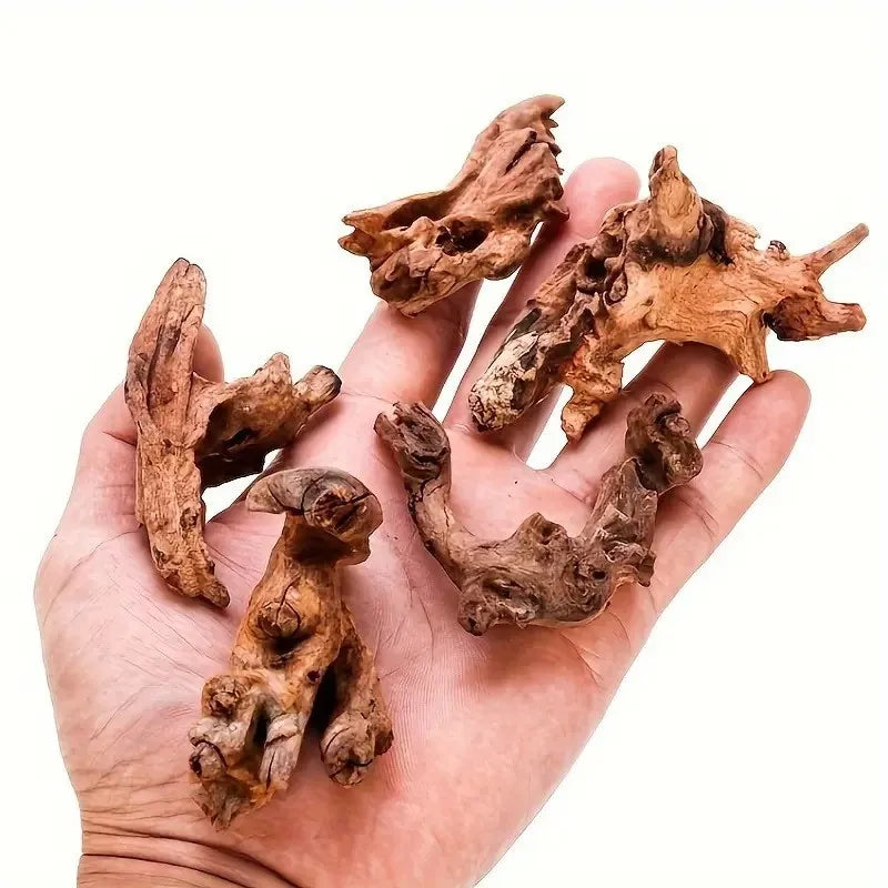 Micro Landscape Aquarium Decor Wood Branches 5-10cm - 3/6/9pcs