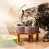 Ceramic Slow Feeder Bowl for Cats and Small Dogs
