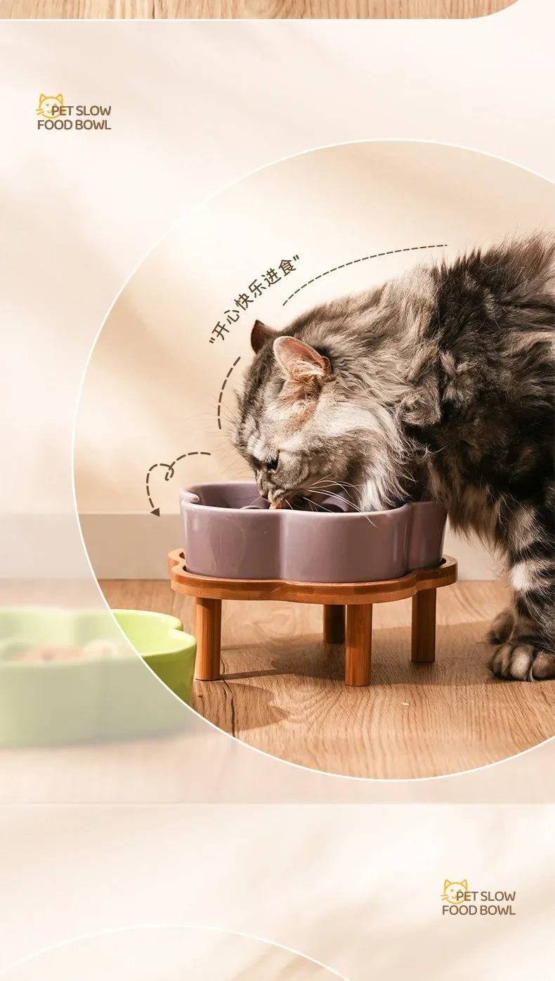 Ceramic Slow Feeder Bowl for Cats and Small Dogs