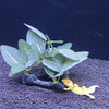 Artificial Aquarium Plant Decor - Turtle Tree Trunk Plastic