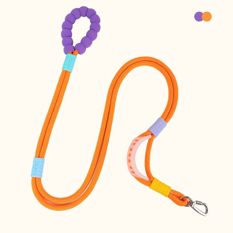 Orange adjustable hands-free dog leash with purple collar and clip