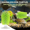 Turtle Shell Cleaning Brush with Feeding Ball
