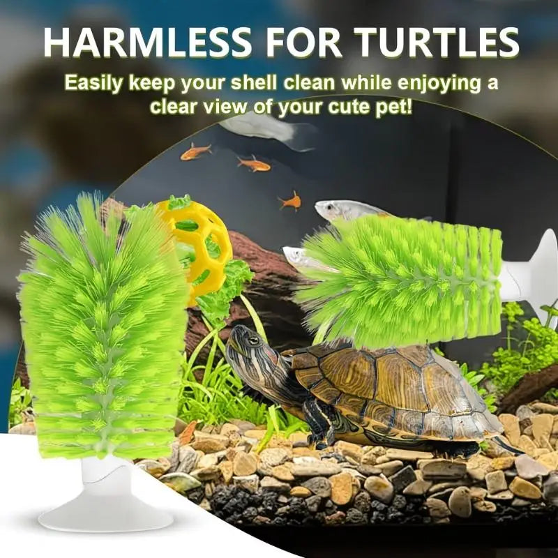 Turtle Shell Cleaning Brush with Feeding Ball