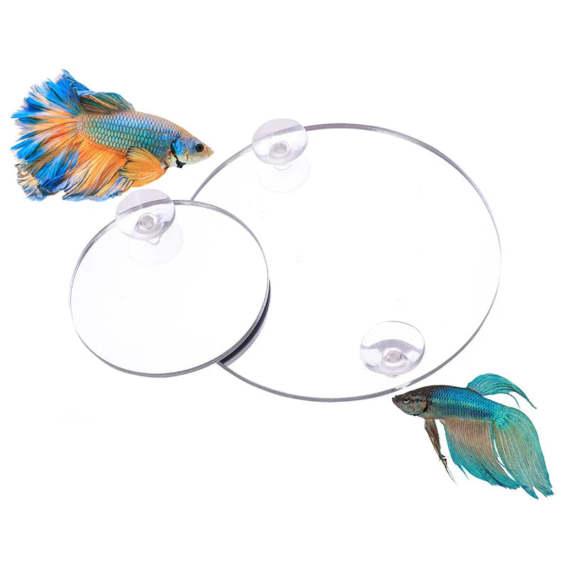 Espejo de Acrílico Flotante para Peces Betta