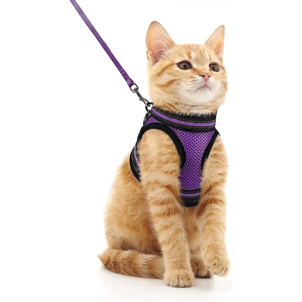 Escape-Proof Cat Harness and Leash Set with Reflective Strips