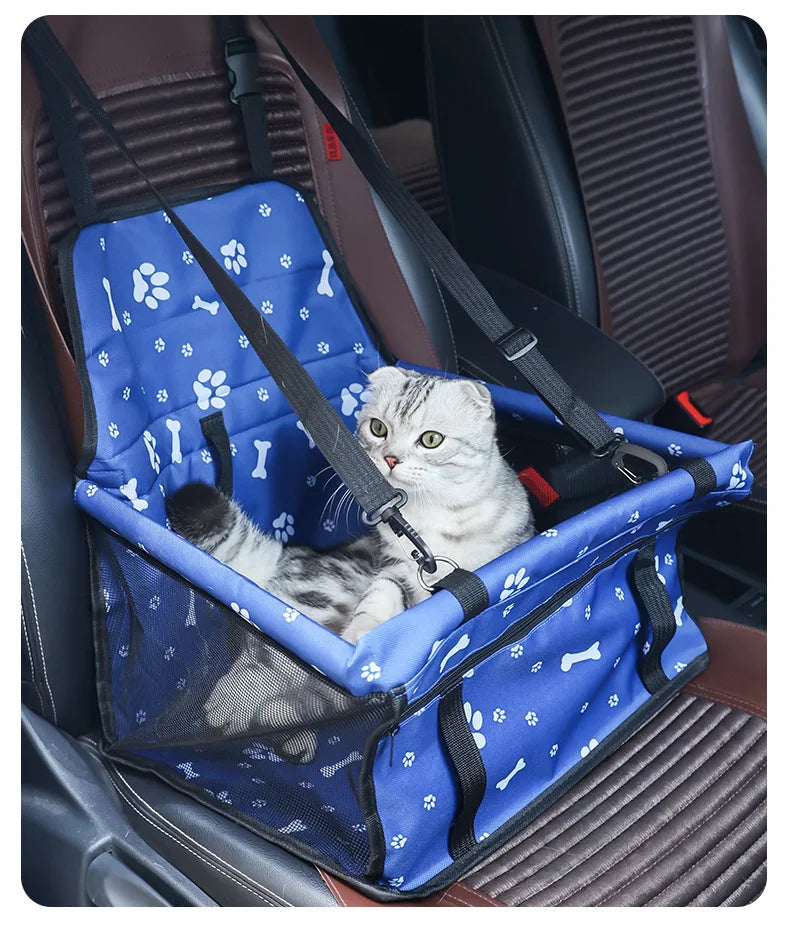 A gray tabby cat is sitting inside a blue pet travel booster seat with a safety belt, placed in a car seat.