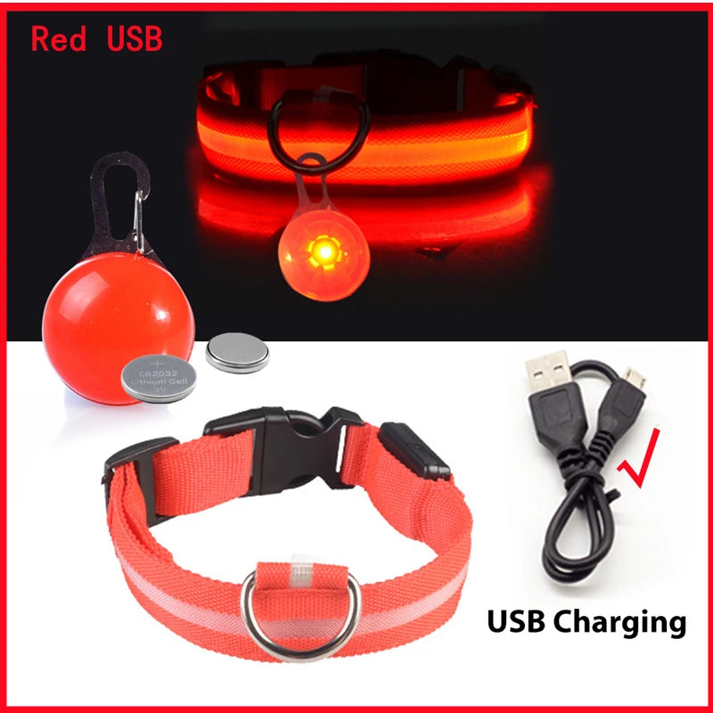 Red USB rechargeable LED dog collar with a safety pendant and charging cable